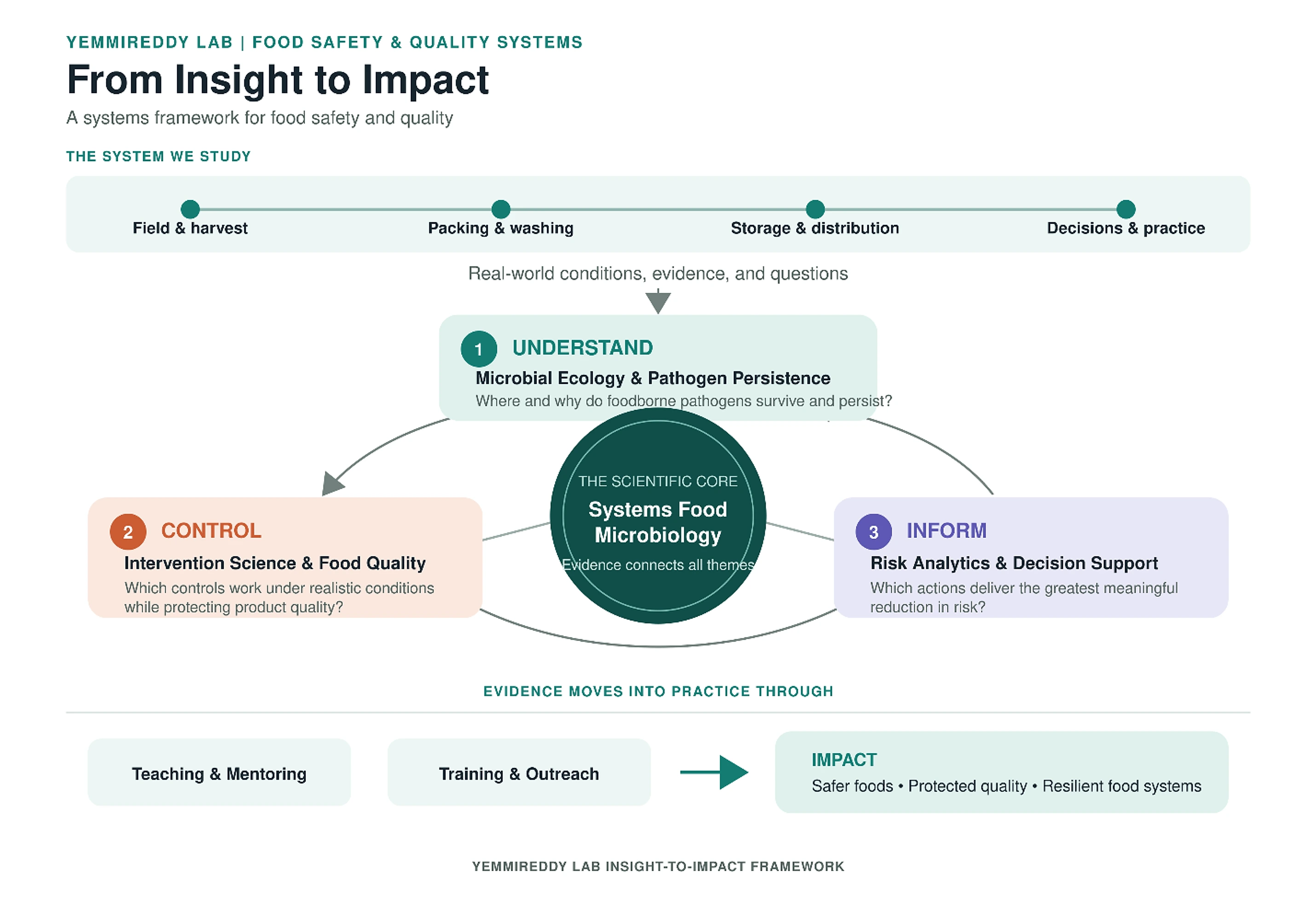 Original infographic: From Insight to Impact, a systems framework linking the food system to three research areas — Understand, Control, and Inform — around systems food microbiology, leading through teaching, training, and outreach to safer foods, protected quality, and resilient food systems